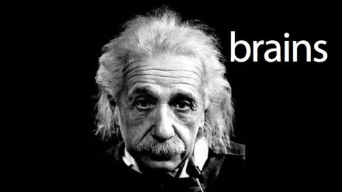 Einstein's Brains